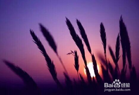 怎样瘦掉大腿部分