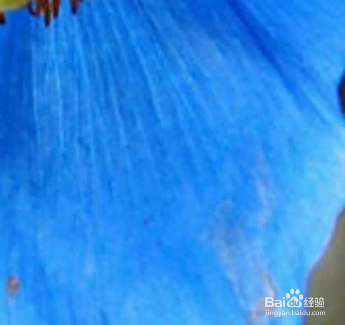 五大公认减脂肪运动