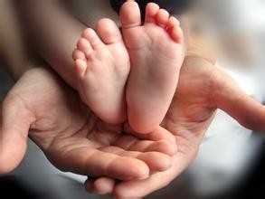 如何用互动玩具提高宝宝五项能力之九月宝宝