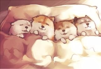 哪些生活不良习惯影响睡眠?