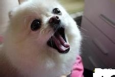 小孩子喉咙发出