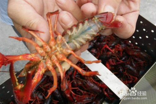 红烧小龙虾的做法