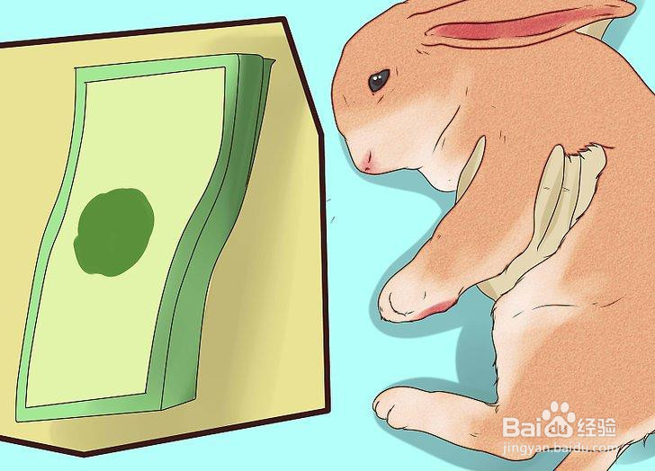 如何管理你的养兔场