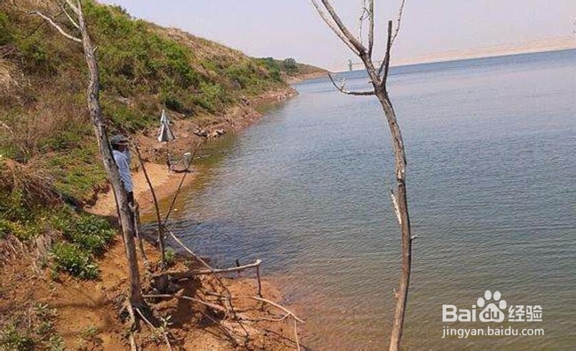 水库河道人工湖不让钓鱼是怎么回事？