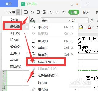 在WPS表格中怎样将单元格中的文本转为图片