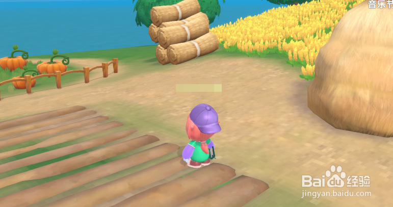 摩尔庄园洒水机怎么用