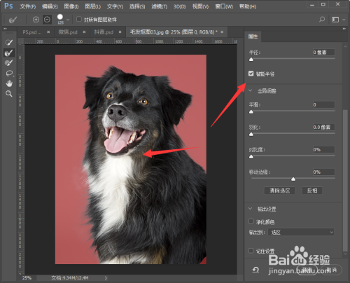 PS怎么扣动物毛发