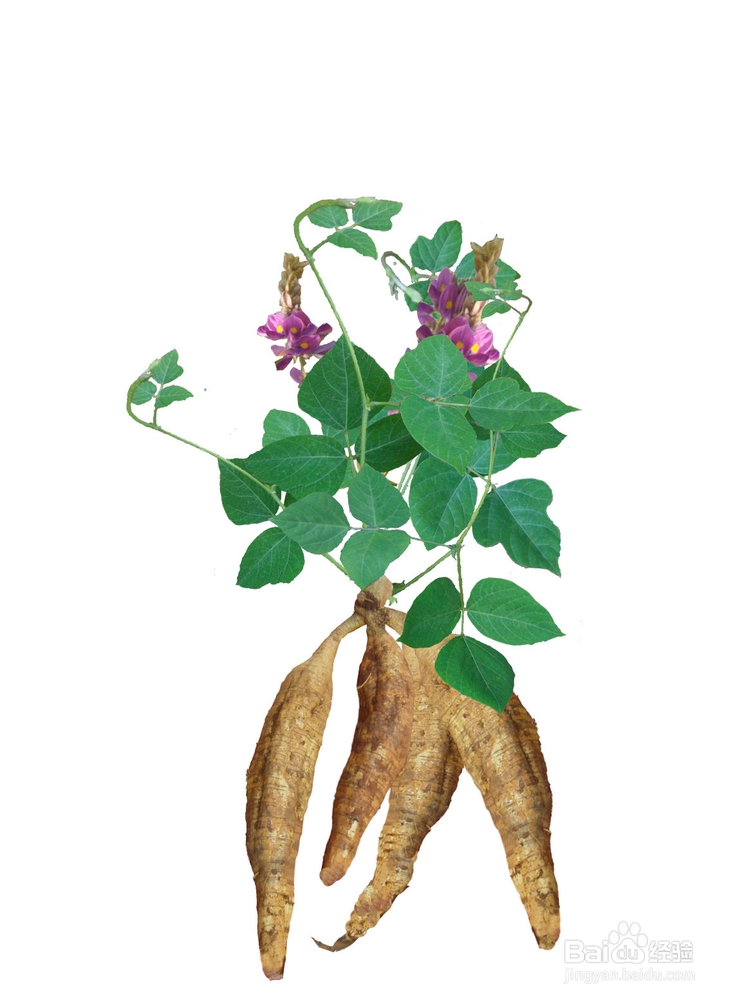 生活解酒小妙招