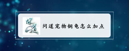 问道宠物铜龟怎么加点