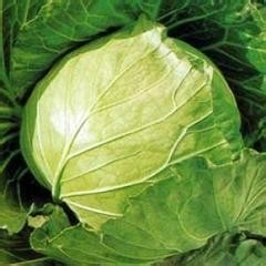 每天吃这些,什么美容和保健品都不用了(六)