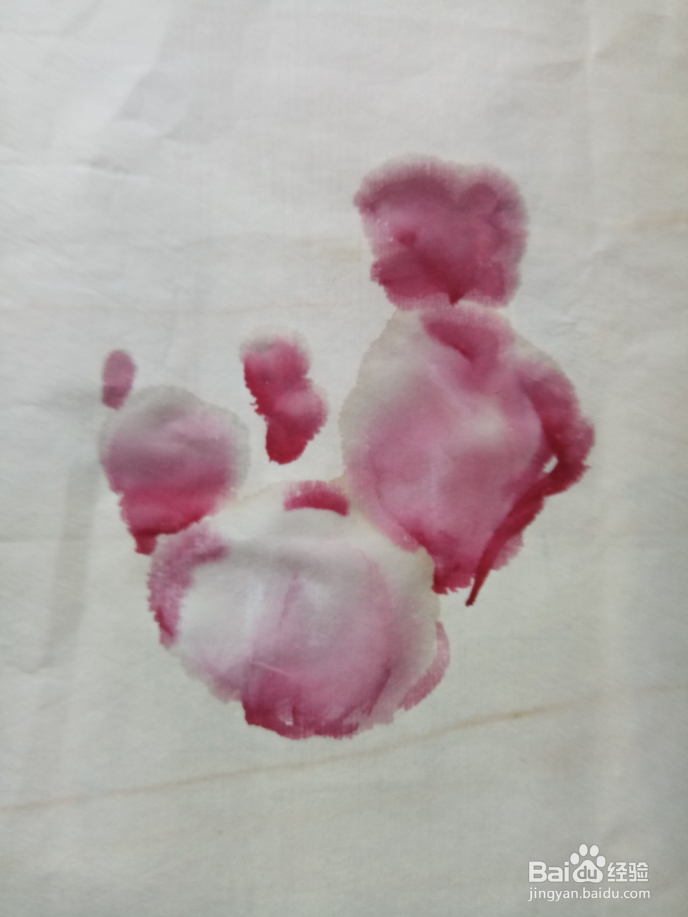 半开折枝牡丹的写意画法