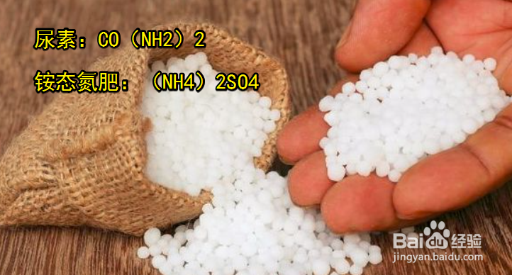 铵态氮肥与尿素有什么区别