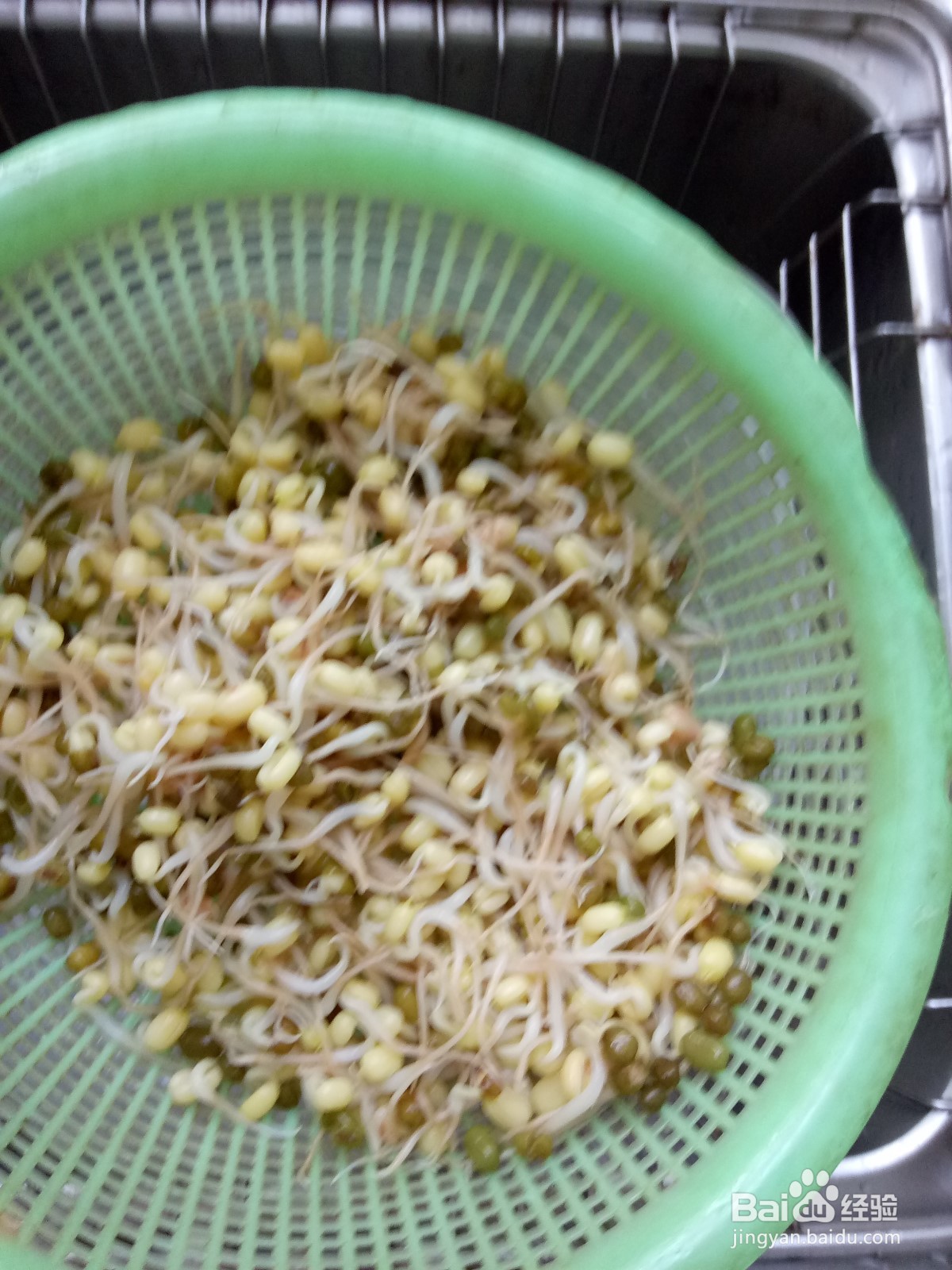 凉拌青椒豆芽土豆丝