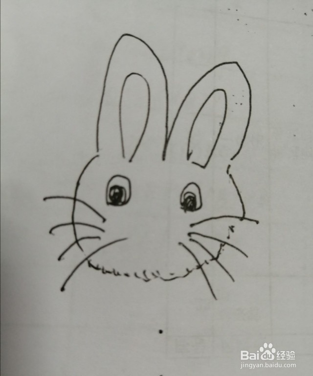 简笔画小白兔怎么画