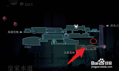 空洞骑士酸水免疫怎么得?