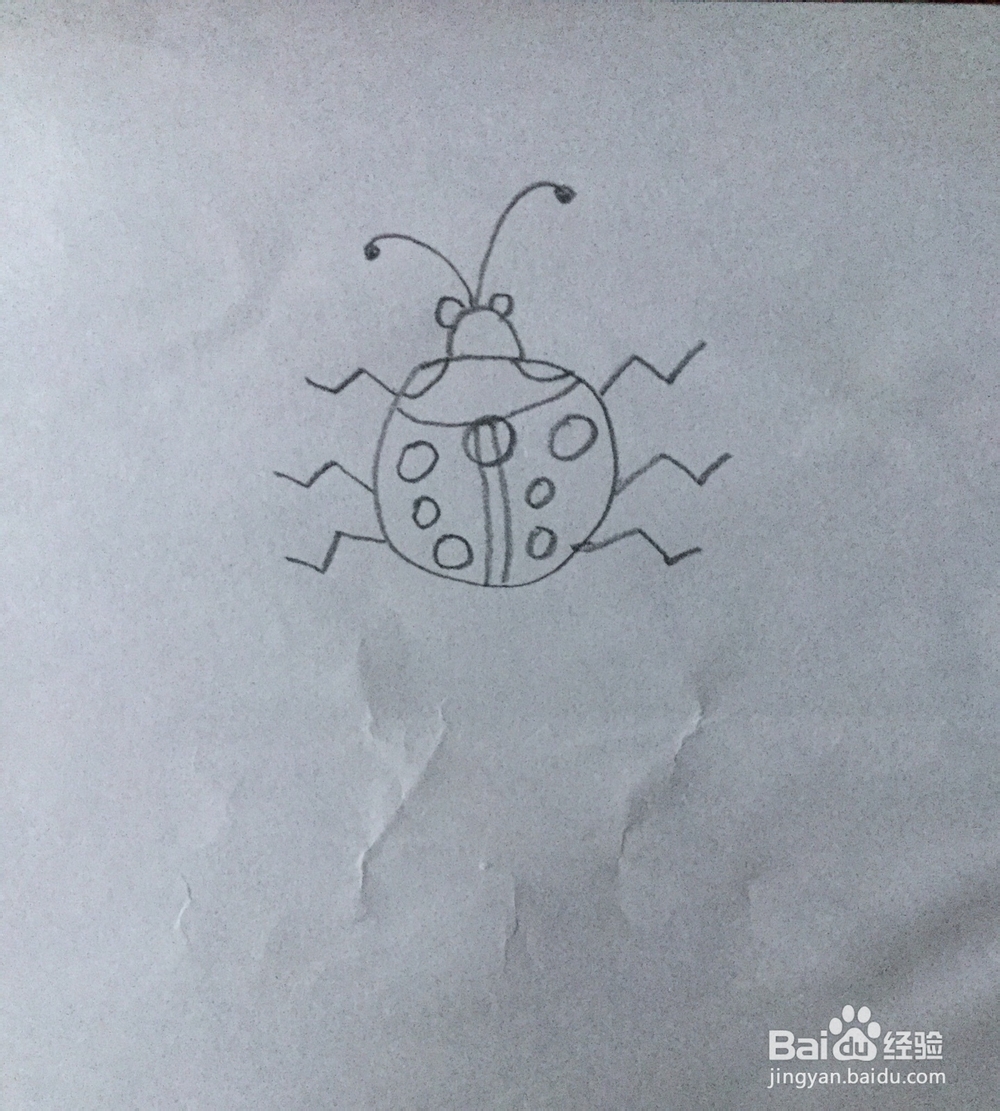 简笔画七星瓢虫的画法