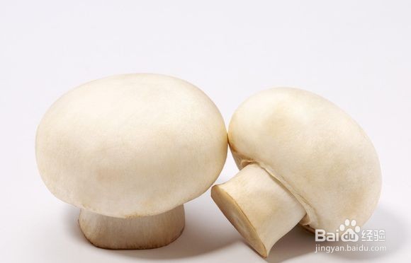 如何挑选新鲜的蘑菇？