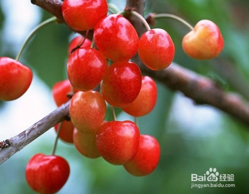 天生就黑的人怎么变白