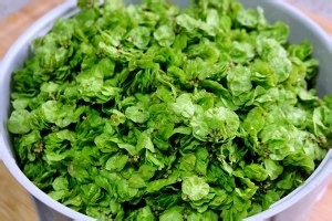 蒸榆钱的制作方法