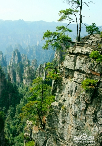 2013年张家界纯玩旅游最权威防宰防骗旅行攻略