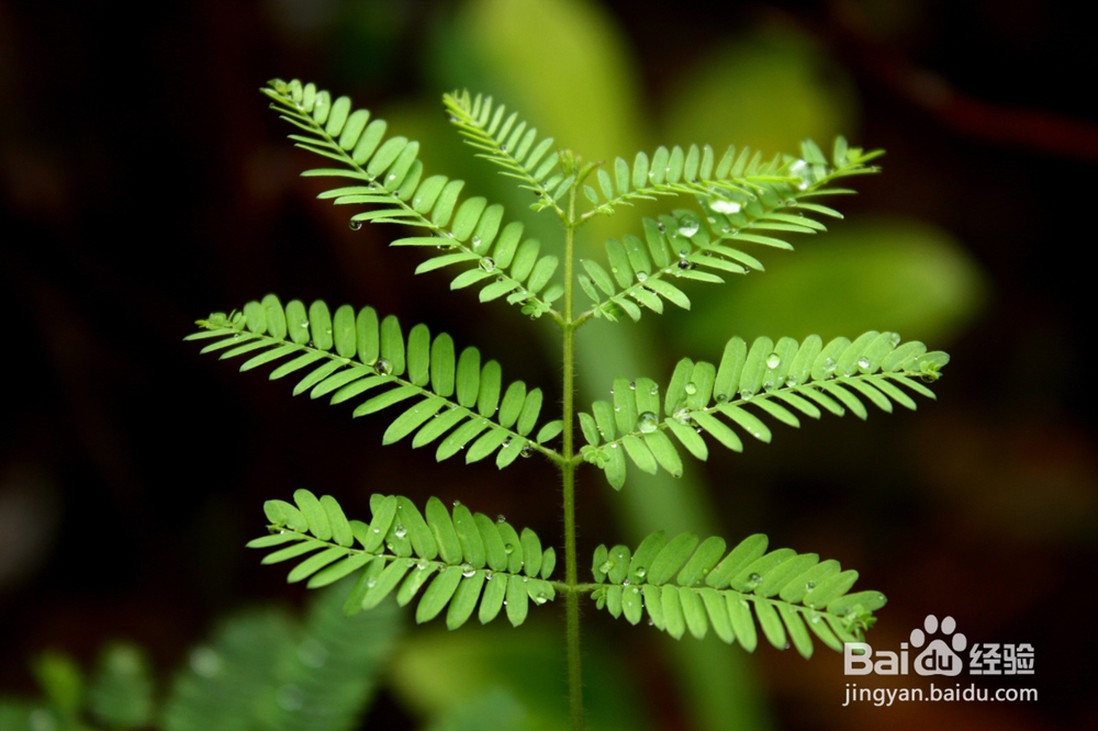 如何快速防暑降温？