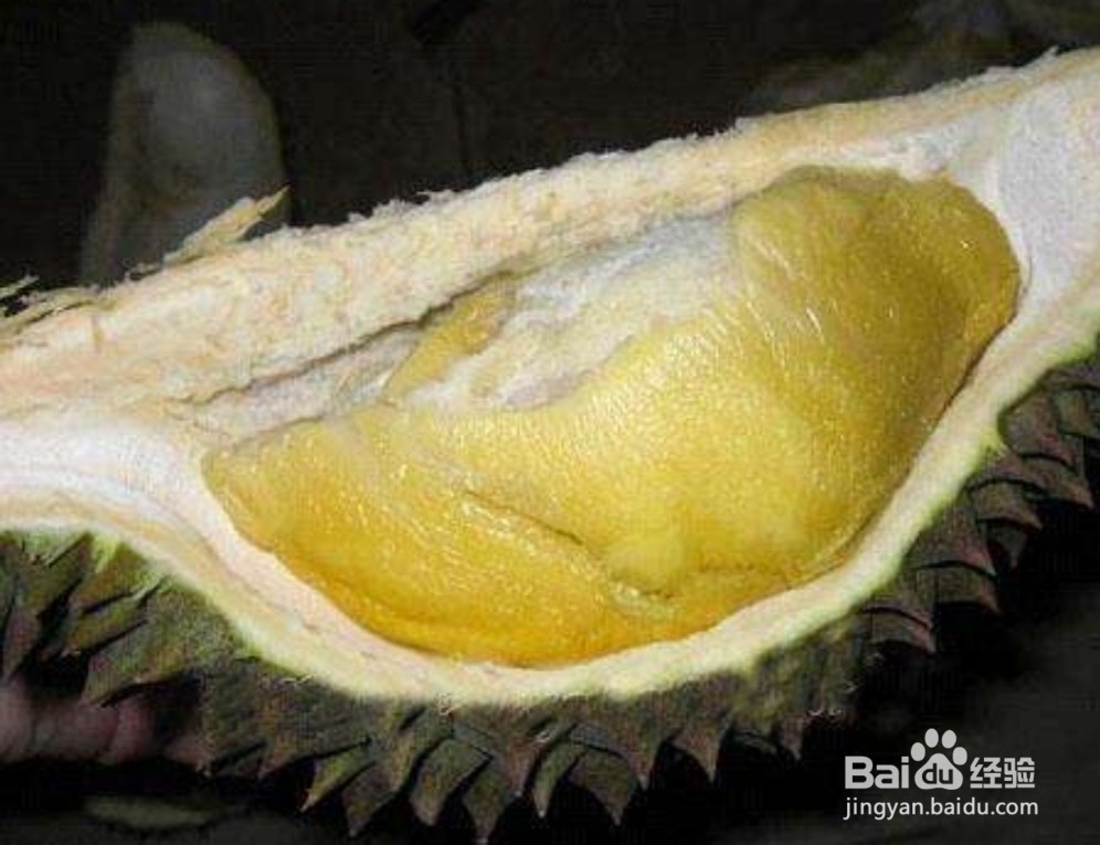 你喜欢吃这些水果吗?