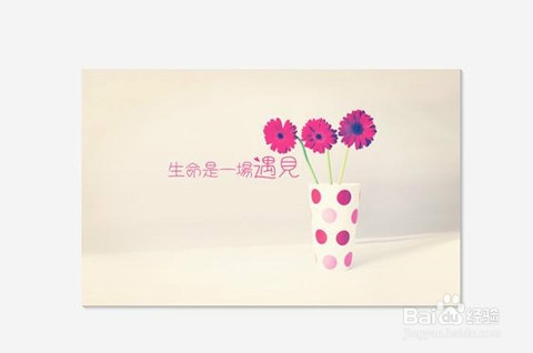 如何给图片添加文字模板和制作动态闪字