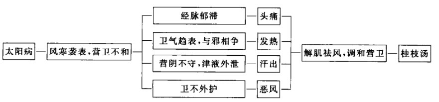 伤寒论考点重点疏理：[7]桂枝汤证