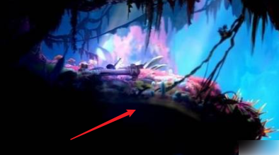 光之池的大石头怎么开