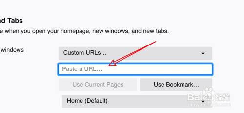 mac水狐浏览器怎么设置主页为特定页面？