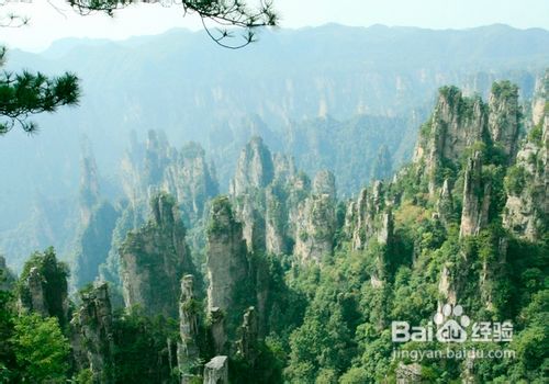 张家界自驾游使用攻略