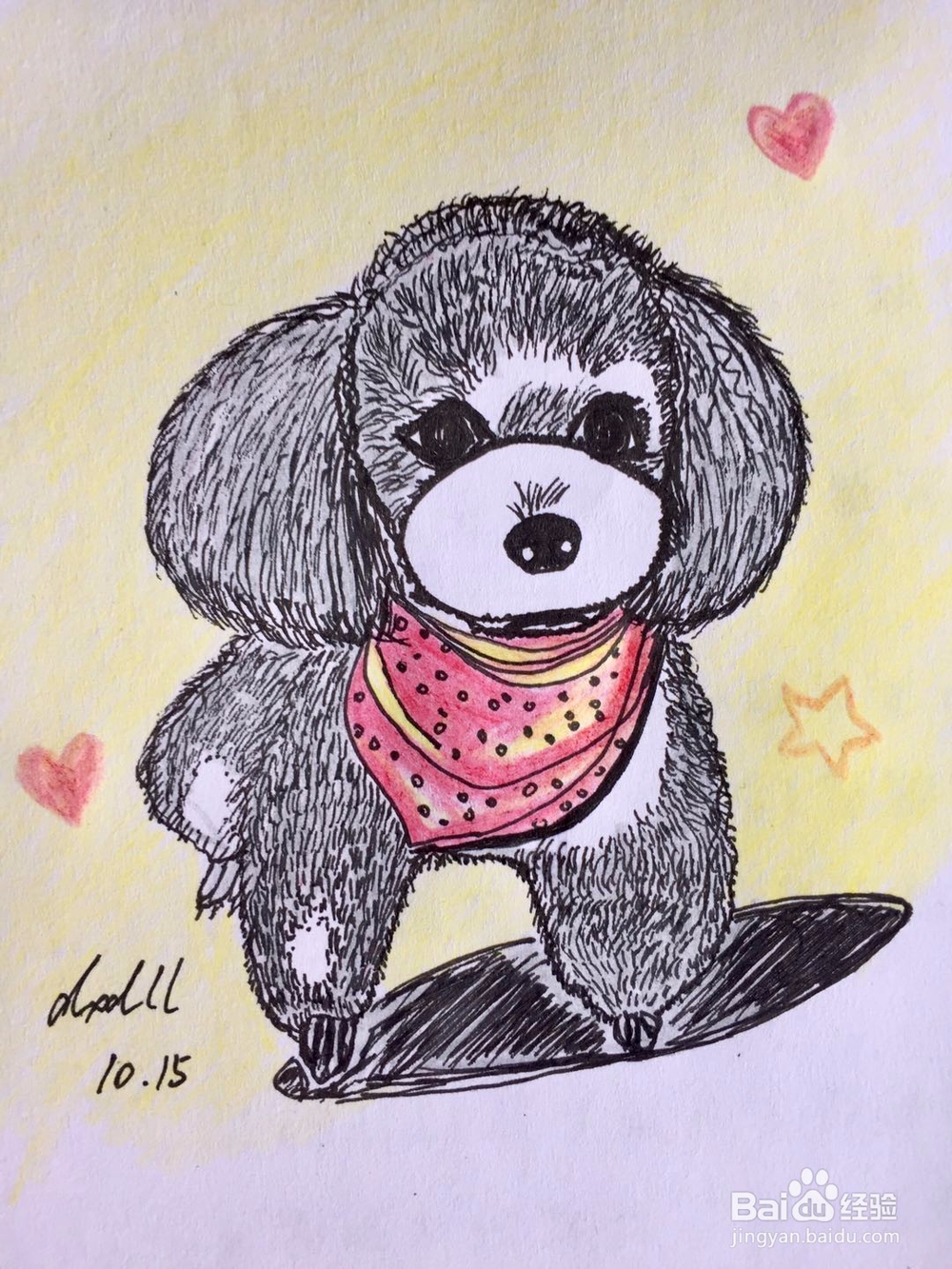 茉莉彩铅手绘之萌宠泰迪