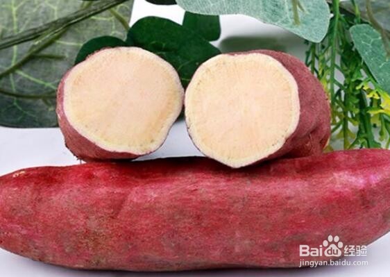 一分钟让你知道如何养生