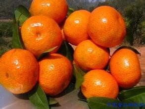 哪种水果多吃上火?