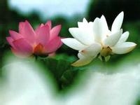 如何做一个快乐的人？