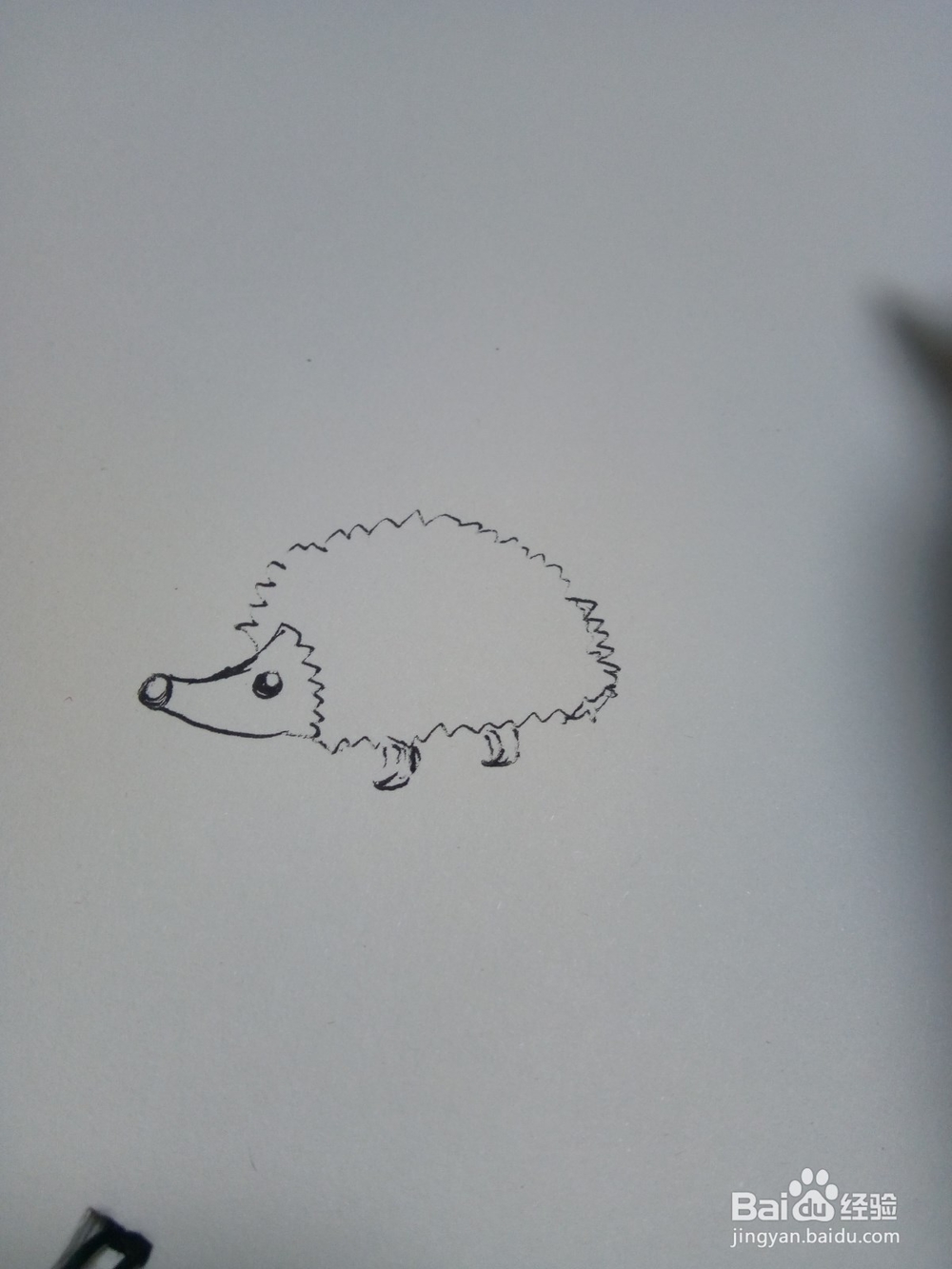 幼儿简笔画小刺猬