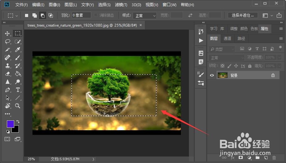 PS如何精确调整选区大小?