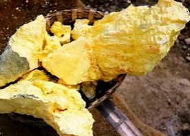 灭老鼠最有效的方法有哪些?