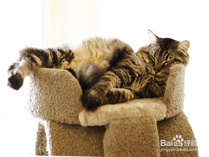 感觉自己对事情提不起兴趣,事做不进去怎么办?