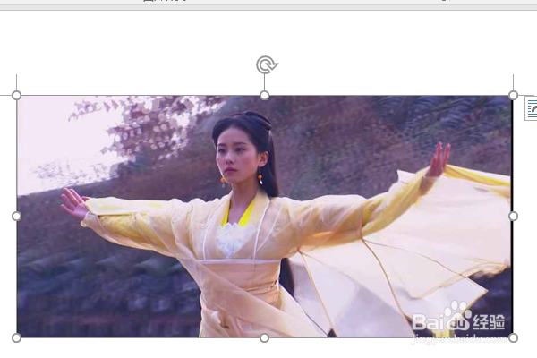word2016如何制作明星卡贴——刘诗诗五