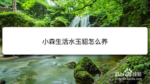 小森生活水玉貂怎么养 百度经验 小森生活水玉貂怎么养 百度经验