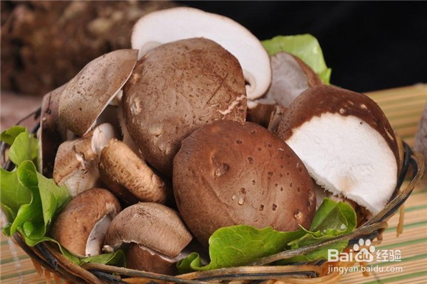 减肥的时候吃点啥