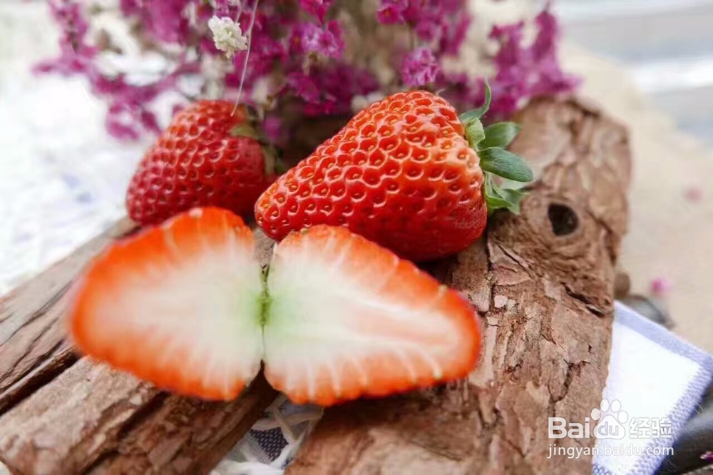 草莓脯烘干机的效果好吗草莓干烘干机使用技巧