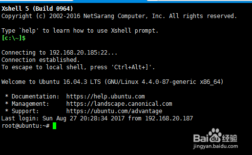 基于Ubuntu系统安装docker配置Java运行环境