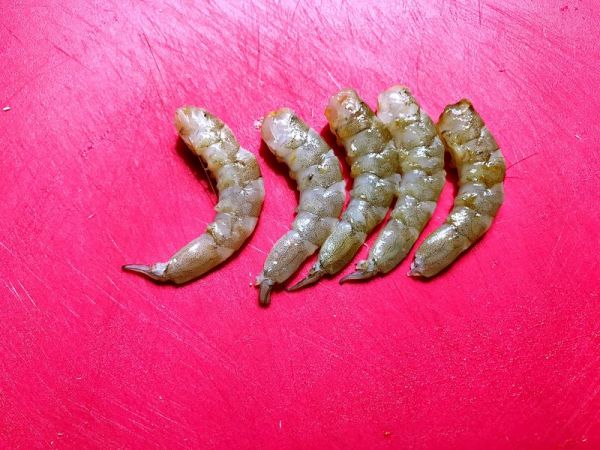 西柚石榴鲜虾沙拉