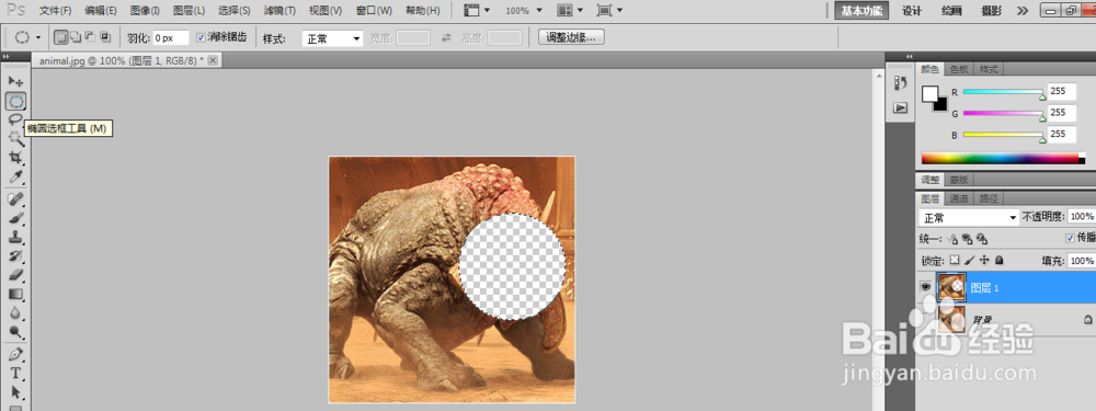 Photoshop 制作动感效果图