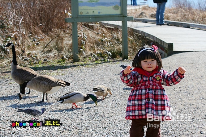 温哥华的如画春天(组图)