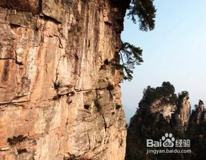 张家界森林公园怎么安排游玩路线