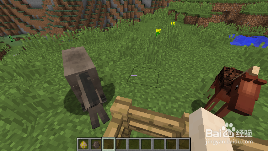 我的世界骡子怎么繁殖