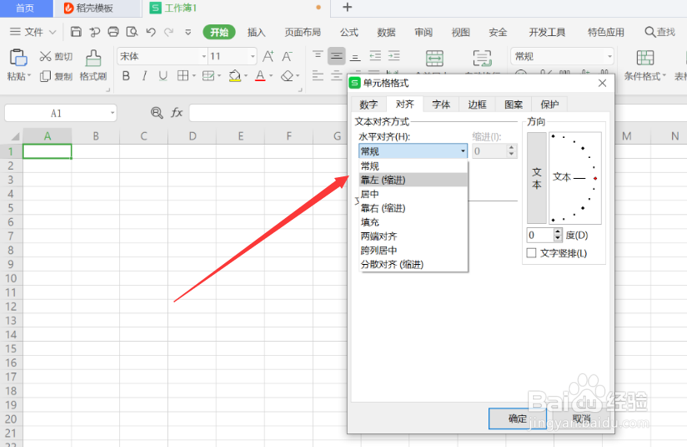 怎么在Excel的一个单元格内输入两行或多行文字